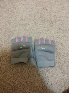 Everlast Weighted Power Gloves